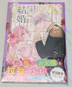 悪党のお父様、3巻　ある日お姫様になってしまった件　11巻　2冊セット　本のみ