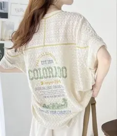 程よい透け感でこなれカジュアル。バックプリント配色レースプルオーバー ジャガード
