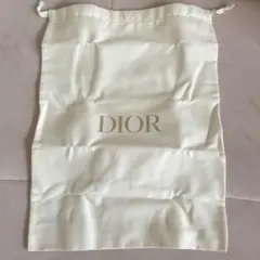大きめDIOR巾着