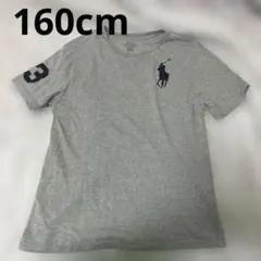 160cm 男の子 ポロ ラルフローレン 半袖Tシャツ ビッグポニー グレー