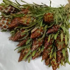 くみこさん様 リクエスト 2点 まとめ商品