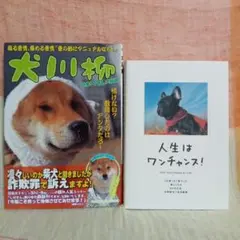 犬川柳 & 人生はワンチャンス!