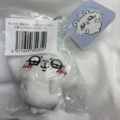 モモンガ まとめ売り モモンガ まとめ売り
