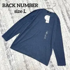 【バックナンバー】新品 フライクルーロンT 長袖 L ネイビー ボーダー
