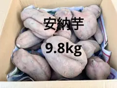 農薬化学肥料不使用　安納芋　土付き　サツマイモ　約　9.8kg さつまいも