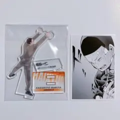 ハイキュー クロニクル 成田一仁