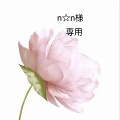 n☆n様　専用