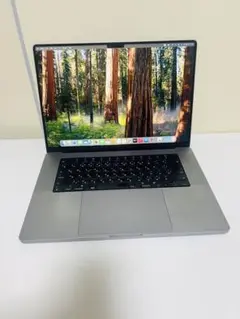 Apple Macbook Pro M1 Max 16インチ32GB/1TB