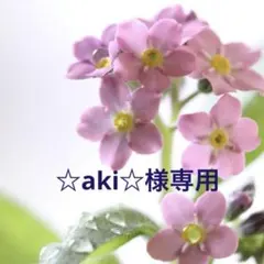 ☆aki☆様専用ページ✩.*˚サンキャッチャー