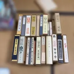 Item thumbnail for item df474b79-41f1-4b0e-81db-f1ba6b1946eb