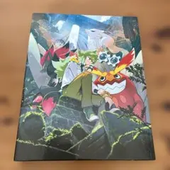 ポケモンカードゲーム　コレクションファイルセット　N