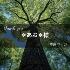 ＊あお＊様専用ページ(4月13日までお取置き可能)