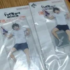 ハイキュー 一番くじ 全国への道 E賞