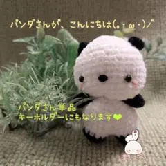 パンダさんが、こんにちは(。・ω・)ノ゛