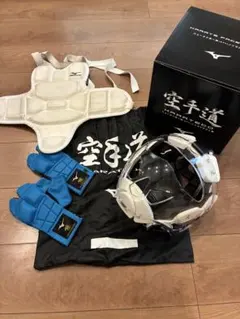 定価】ミズノプロ アームガード ブランドアンバサダーズコレクション