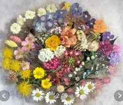 ドライフラワー(花かご)