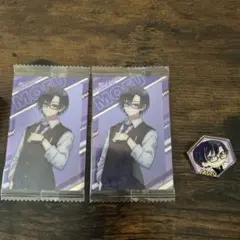 カラフルピーチ もふ トレカ ピンズコレクション