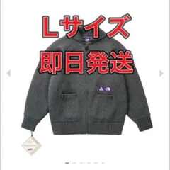 PALACE The North Face Field Sweater