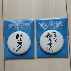 ジブリ博物館オリジナル缶バッジセット