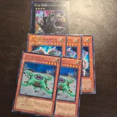 専用