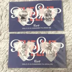 Eve Re:Smile アプリくじ H賞ツアーTキーリング I賞ピックセット2