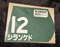 シルキーラグーンGⅠ調教ゼッケン】シルキーラグーン 特殊調教ゼッケン