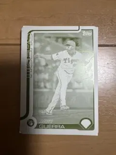 淺間大基 Topps NPB 2022 printing plate 1/1 淺間大基 Topps NPB 2022 printing plate 1/1 Amazon.co.jp