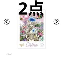 ツイステ展 ランダムカードコレクション　チェキ　フォト　オルト 2点