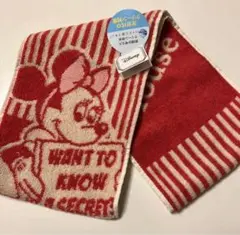 新品　ミニーちゃん　マフラータオル　ロング　保冷剤　カイロ　ポケット付き