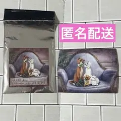 ディズニーストア　ポケットティッシュケース　マリー　おしゃれキャット