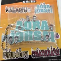 一番くじ ハイキュー -烏野の未来- I賞アクリルチャーム 青葉城西