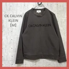 CK CALVIN KLEIN 【M】 トレーナー スウェット グレー系 裏起毛のサムネイル