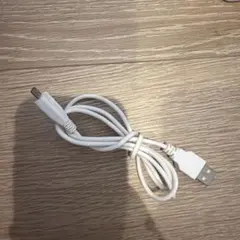 USB A - USB B ホワイトケーブル