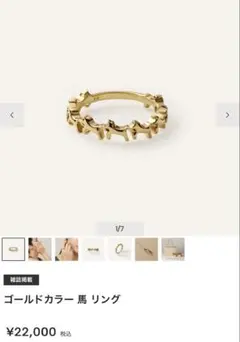 va VendomeAoyama ゴールドカラー 馬リングのサムネイル