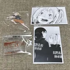 ハイキュー 10th クロニクル 同梱版 アクスタ フォトカ 烏野 谷地 セット