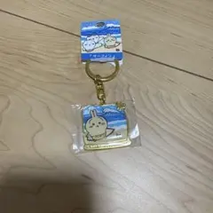 うさぎ 宮崎 サーフィン キーホルダー