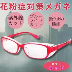 花粉症対策 保護メガネ 赤 防塵 曇り止め 多機能眼鏡 UVカット ブルーライトのサムネイル