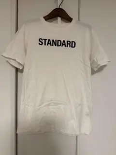 ザノースフェイス STANDARD スタンダード Tシャツ XL 2枚セット
