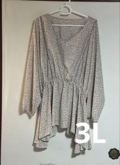 大きいサイズ　花柄長袖チュニック ベージュ系　3L