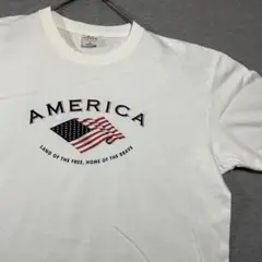 【GILDAN】オールディーズのアメリカ国旗とナショナルアンサムのフレーズ