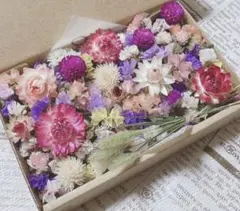 箱いっぱい 人気3種セット ドライフラワー 花材