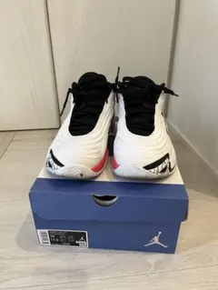 Nike Kobe 3 LOW Protro GS25cm - メルカリ