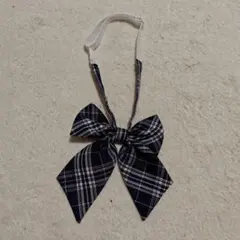 Item thumbnail for item 8dd83edc-e7d0-442f-9e33-409907844d4e