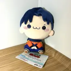 忍たま乱太郎 もちぴこぬいぐるみ 私服ver. きり丸
