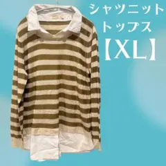シャツニット【XL】 レディース　ボーダー柄ニット　薄手生地