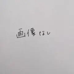あ*き***様専用　カラフルピーチ　東武動物公園　パネル