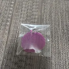 NEXZ ポプスト　ポモヤ　アクリルキーホルダー