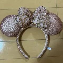東京ディズニーリゾート　カチューシャ