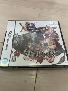 DS スティールプリンセス -盗賊皇女- 新品未開封