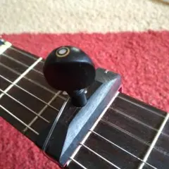 Item thumbnail for item 298fea41-34b5-4925-9957-530e53b6289a